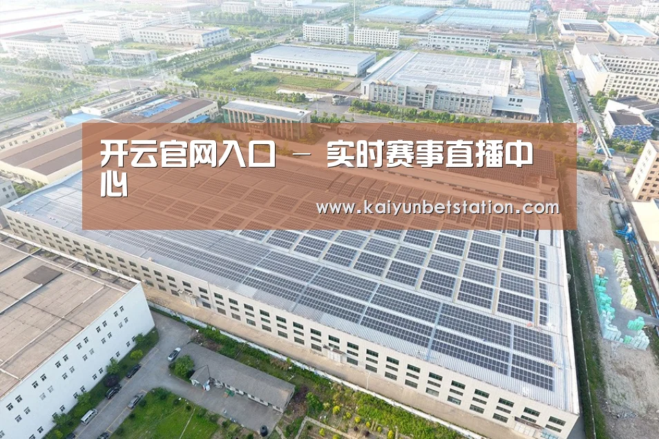 案例展示二
