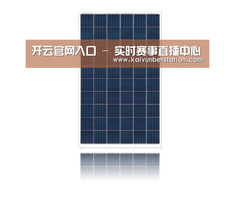 产品名称一