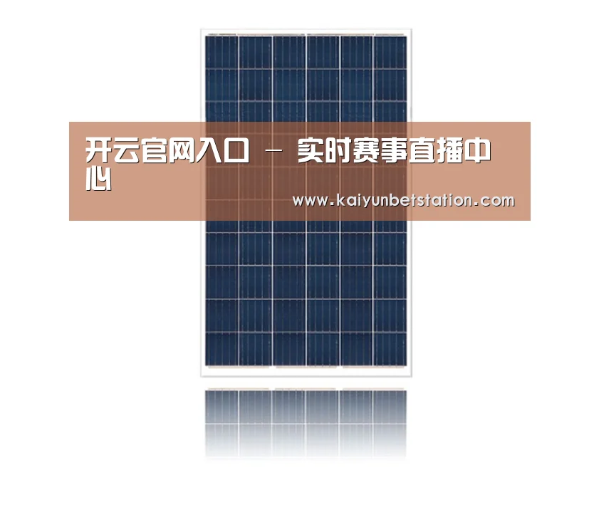 产品名称一