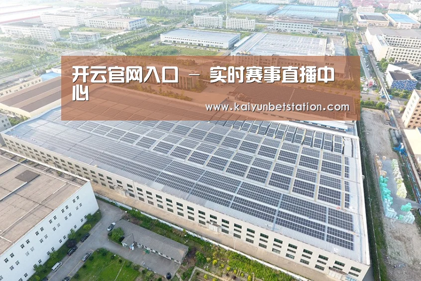 案例展示三