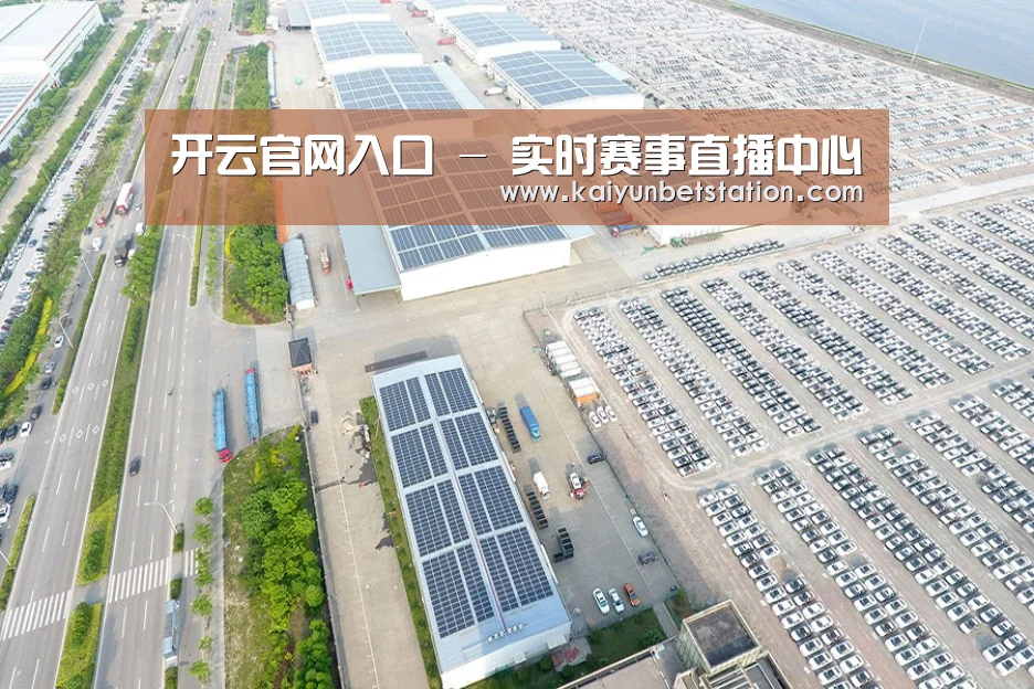 案例展示四