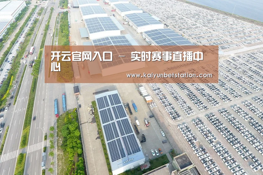 案例展示三